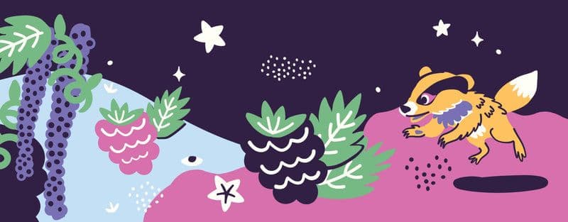 Blackberry Black Pepper Illustration